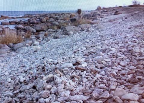 Das Grabfeld Gettlinge auf Öland Das Grabfeld Gettlinge auf Öland