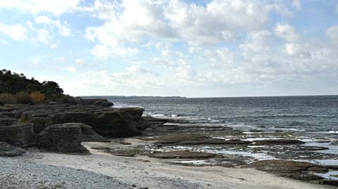 120 Rauken auf Öland