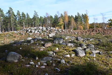 Die Rauken Byrum auf Öland Die Rauken Byrum